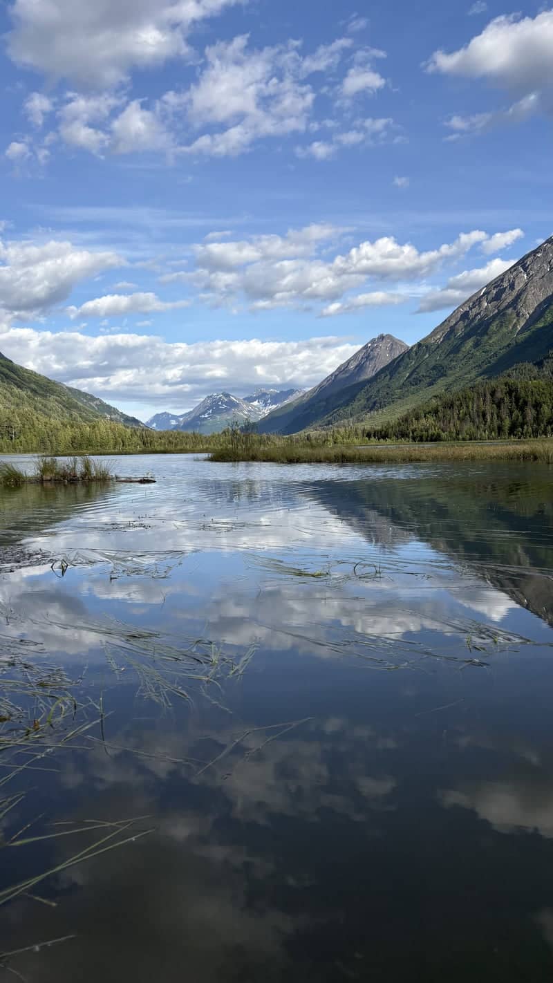 Tern Lake - Image 1