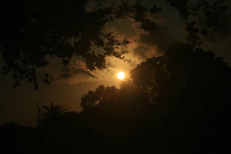 Cape Coral Sunset Silhouette - Image 1