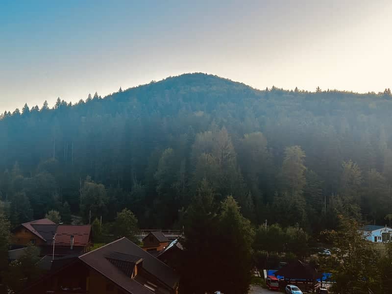 Dorohoi Forested Hill View - Image 1