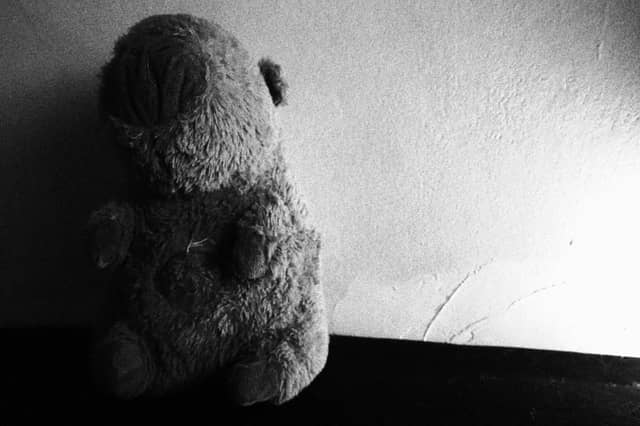 Barbosa Still Life Studio - Image 1