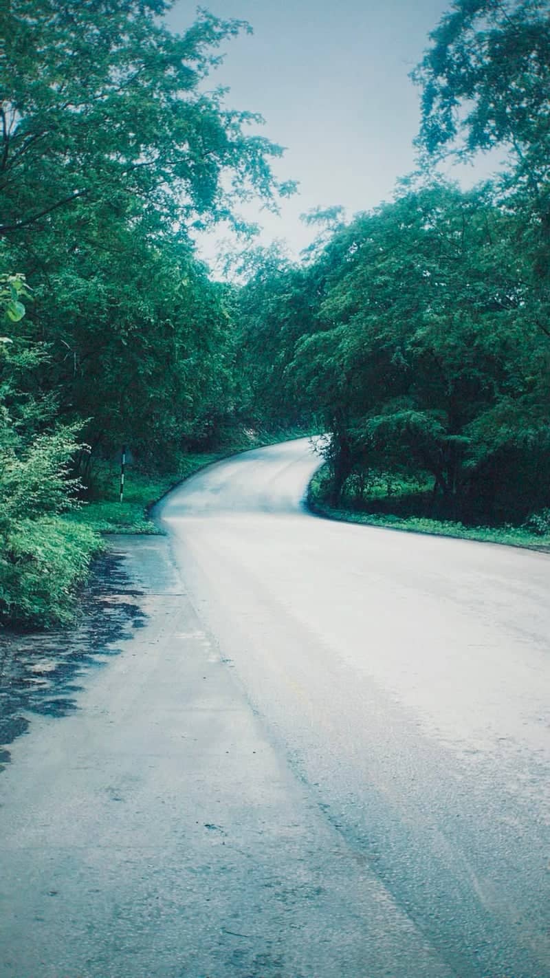 Winding Road in Salalah - Image 1