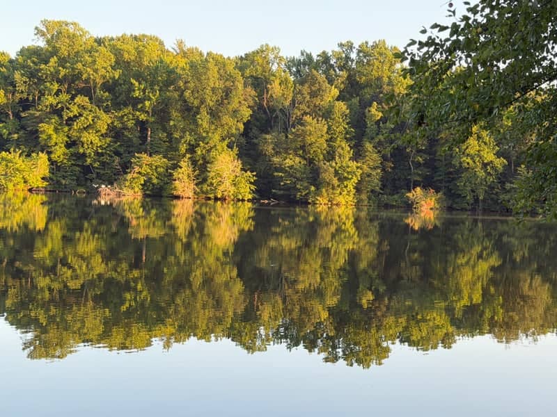 Lums Pond State Park - Image 1