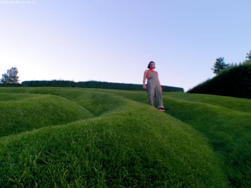 Westlake Village Inn Sculpted Lawn - Image 1