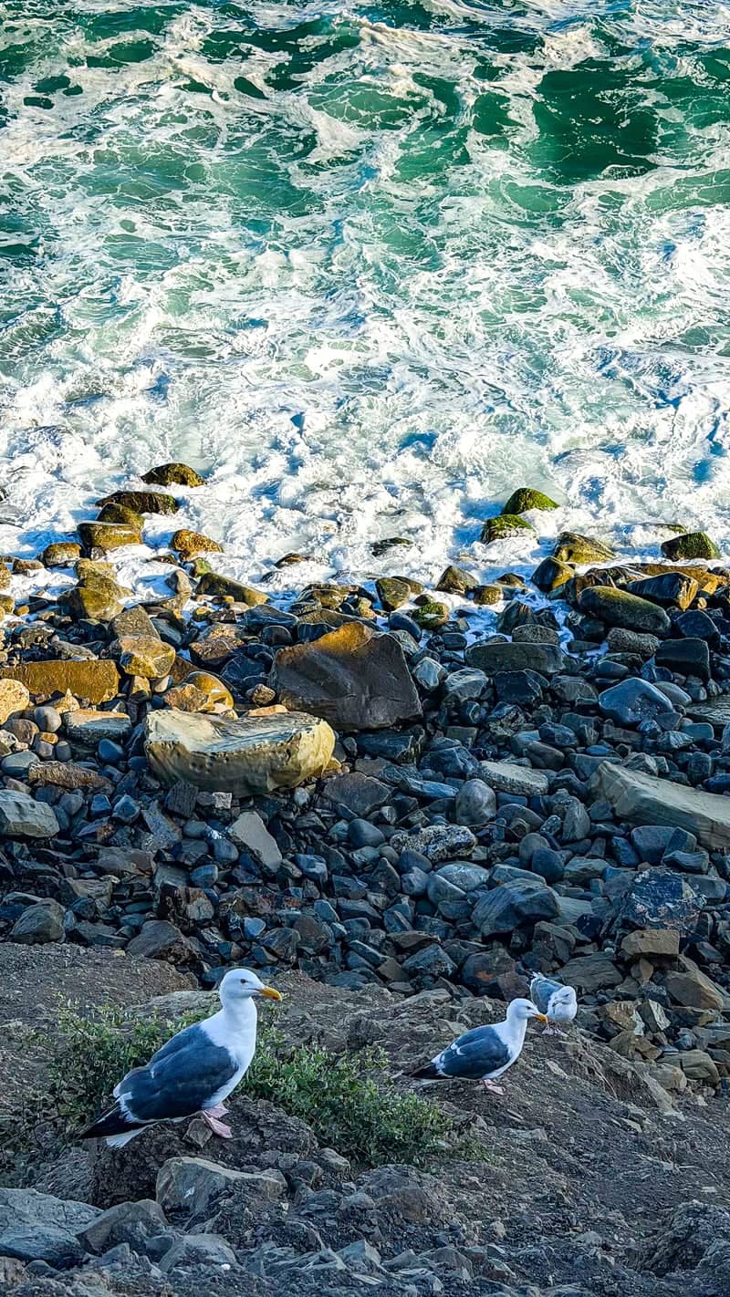 Sycamore Cove Beach Overlook - Image 1
