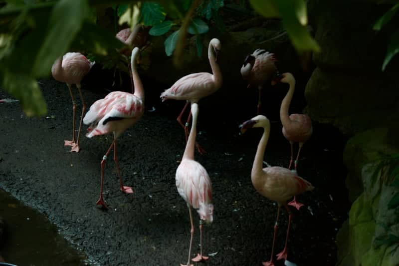Minnesota Zoo - Image 1