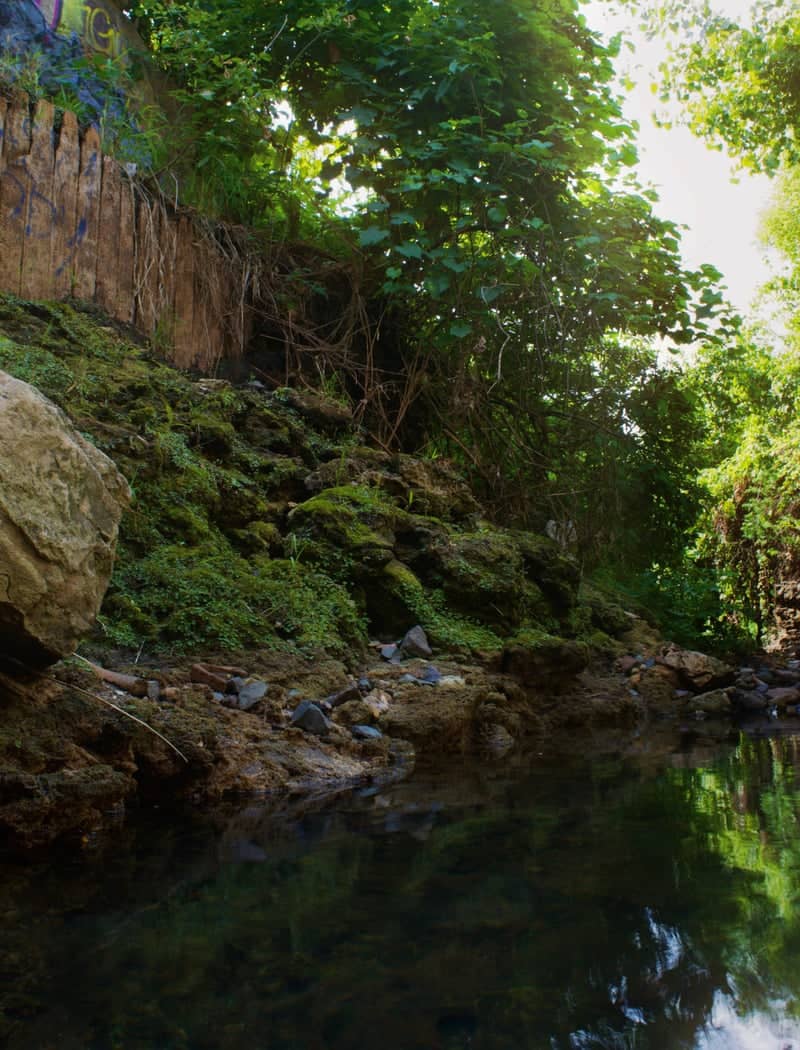 Cliff Road Creek Bed - Image 1