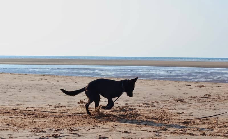 North Norfolk Coastline - Image 5