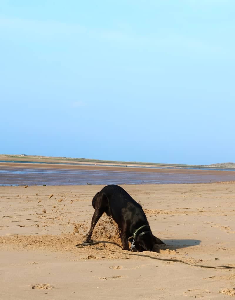North Norfolk Coastline - Image 2