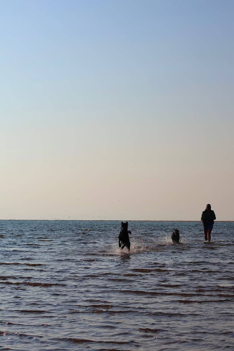 North Norfolk Coastline - Image 1