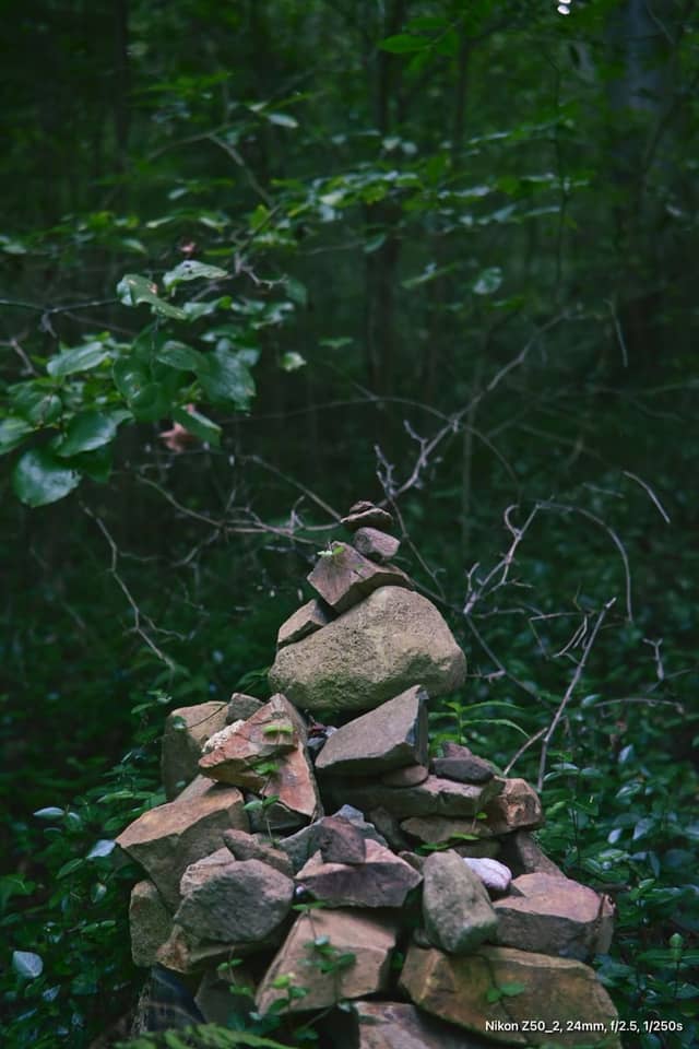 Mireuksan Mountain Forest Trail - Image 1