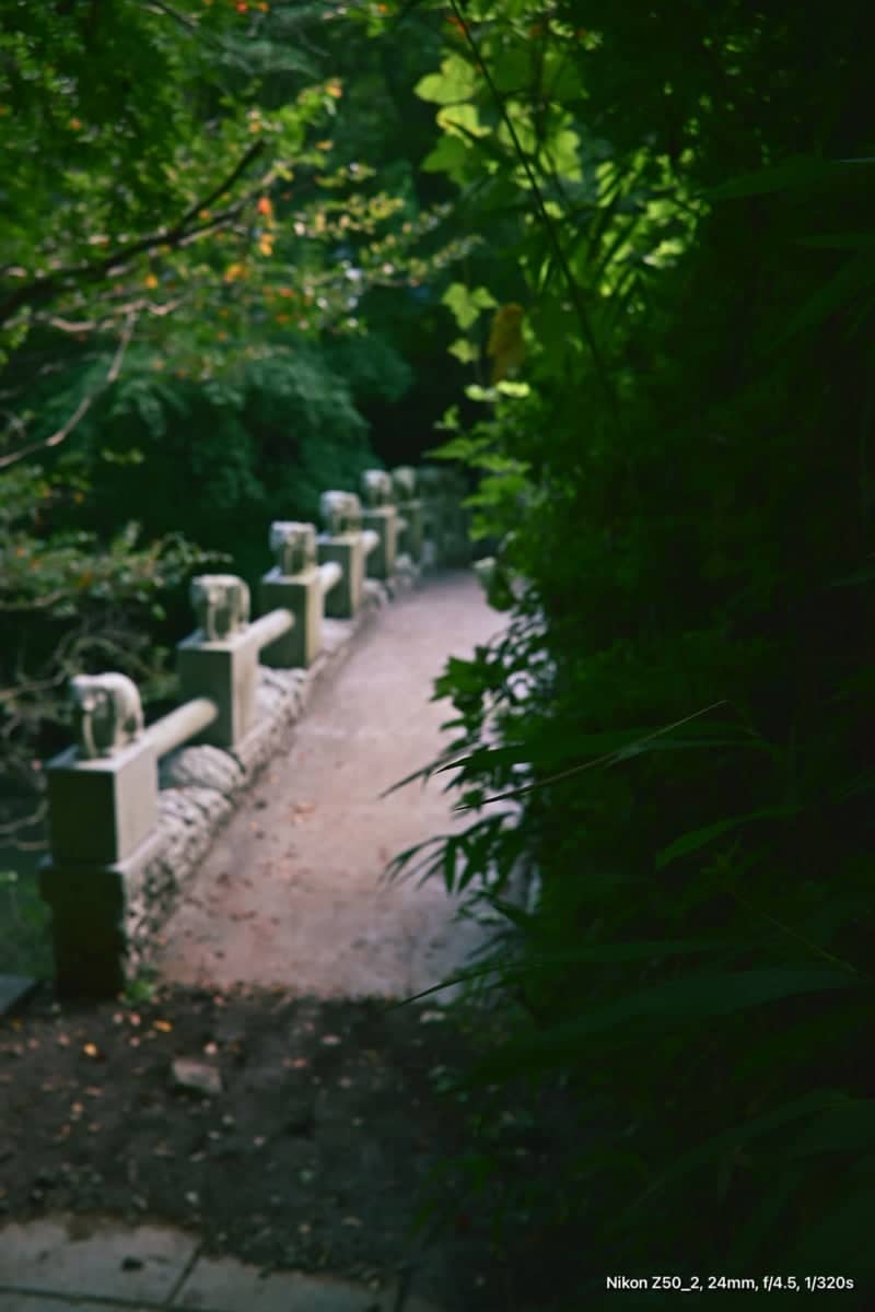 Mireuksan Temple Path - Image 1