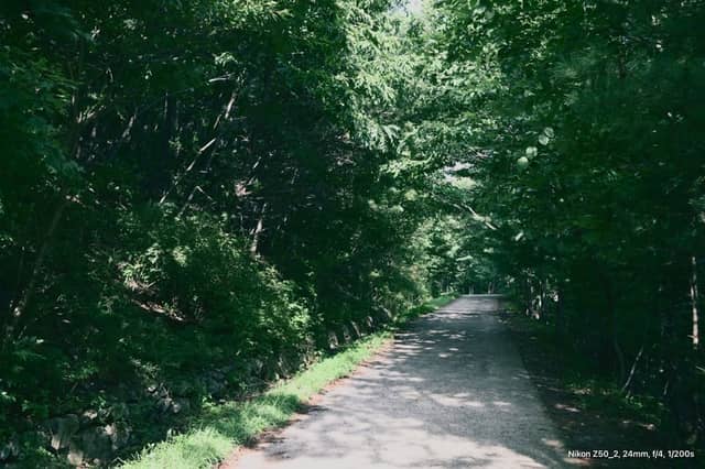 Seoknamsa Temple Forest Path - Image 1