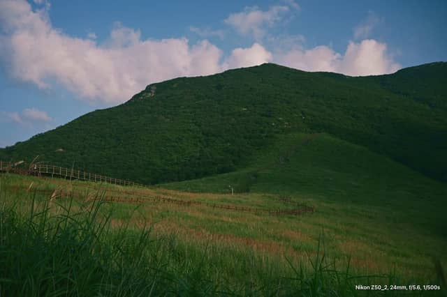 Ganwoljae Reed Plain - Image 1