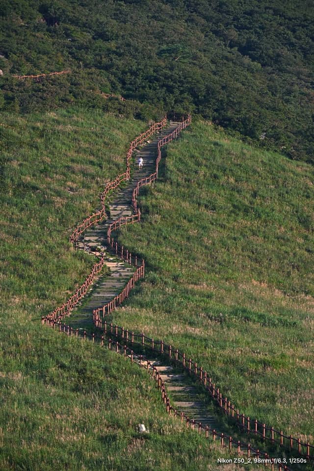 Ganwoljae Flame Grass Plain - Image 1