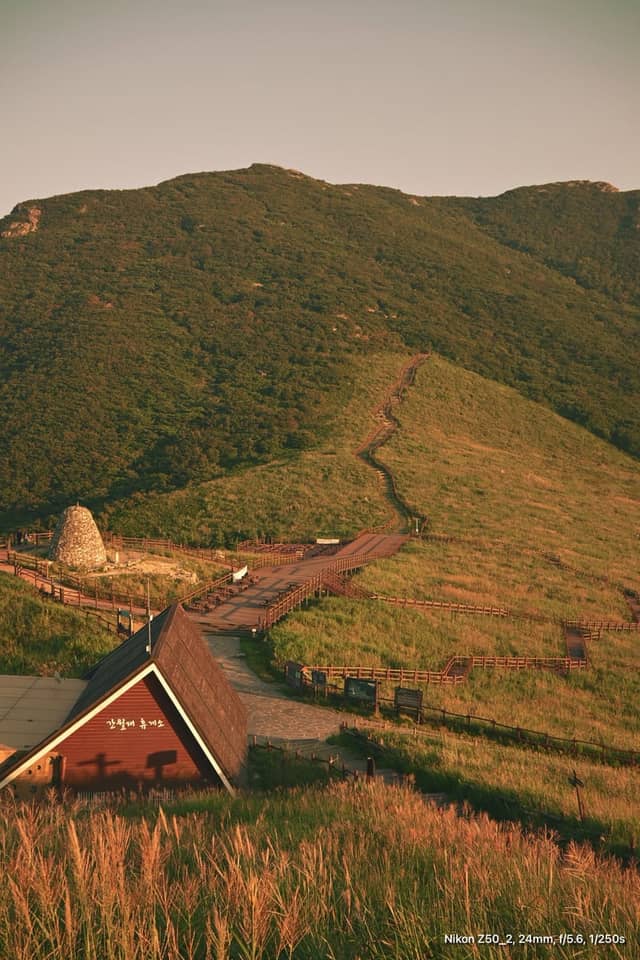 Ganwoljae Silver Grass Plain - Image 1
