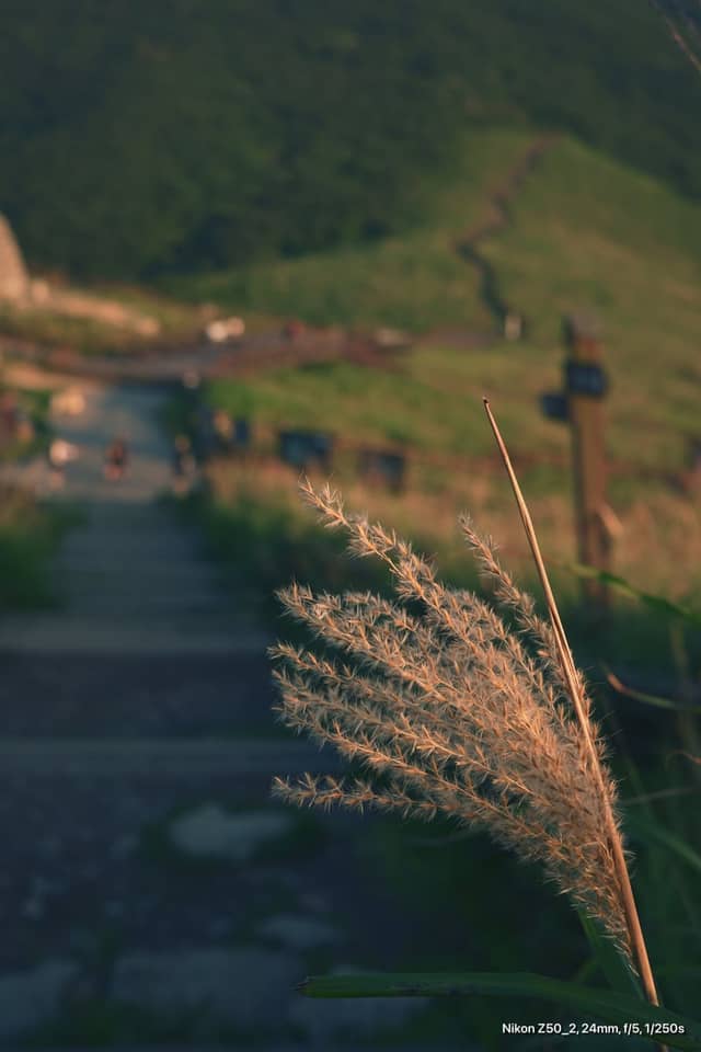 Ganwoljae Flame Grass Plain - Image 1