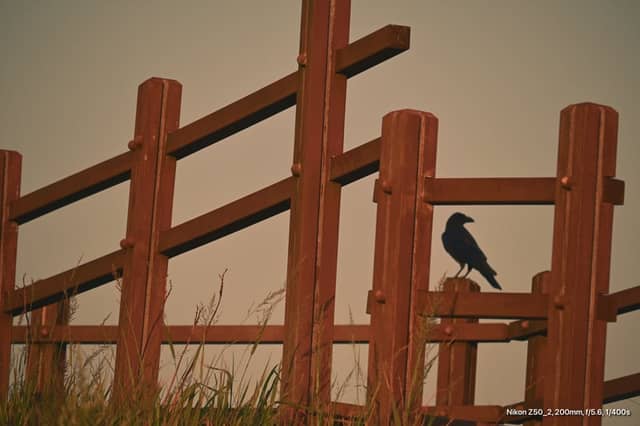Yeongnam Alps Hiking Trail - Image 1