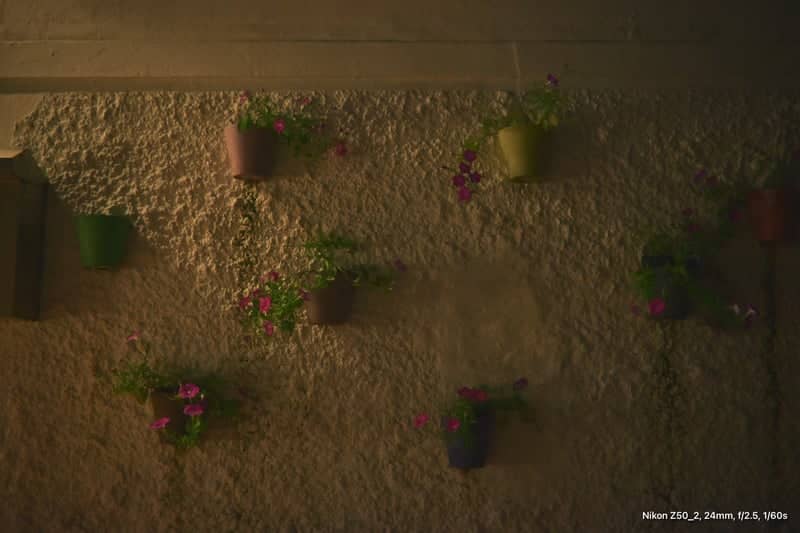 Geoje Textured Garden Wall - Image 1