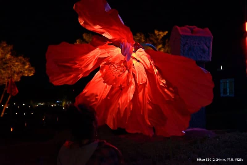 Jinju Namgang Yudeung Festival - Image 1