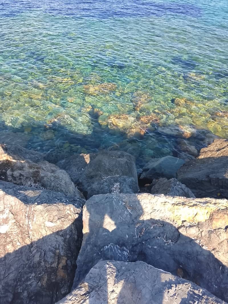 Spotorno Coastal Shoreline - Image 1