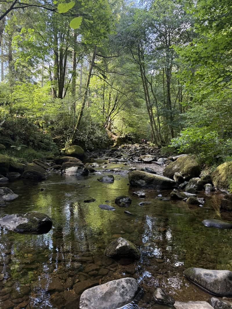 Aira Beck, Lake District - Image 1