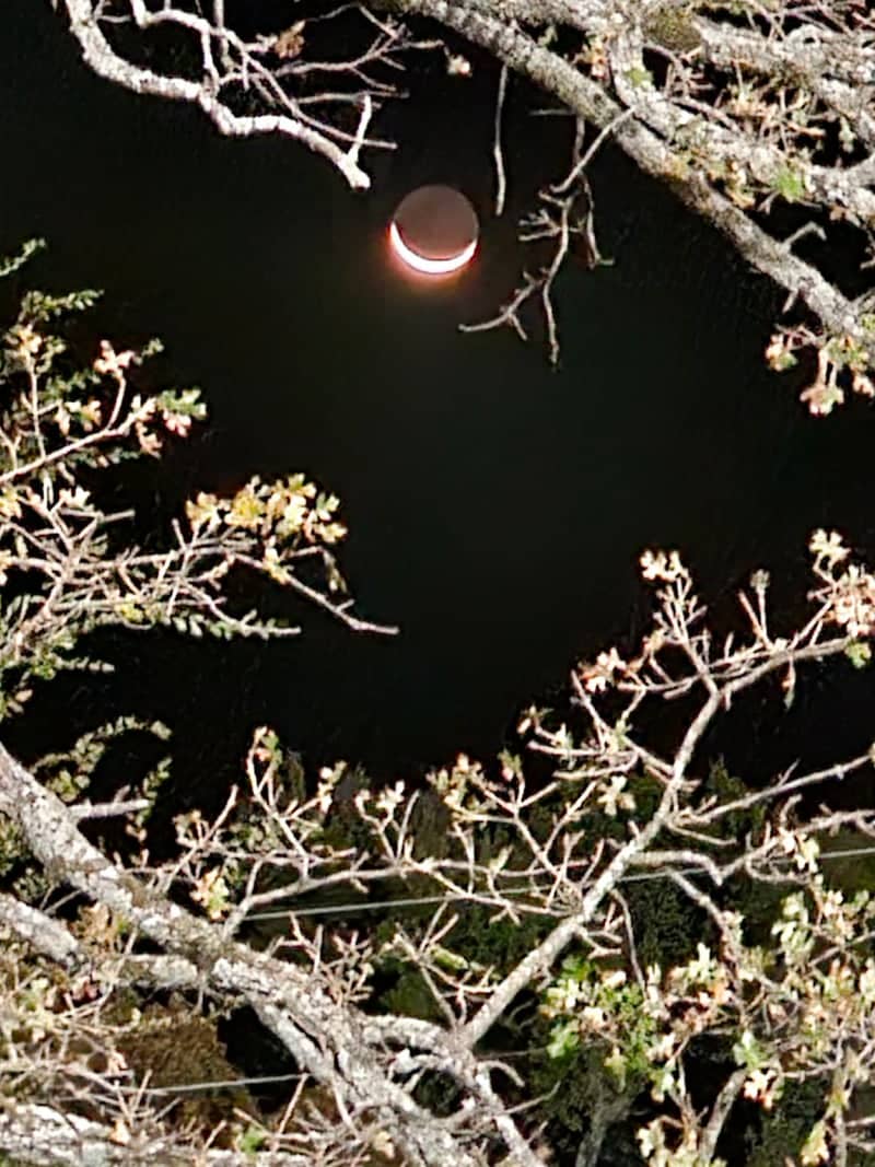 Sallisaw Night Sky Overlook - Image 1
