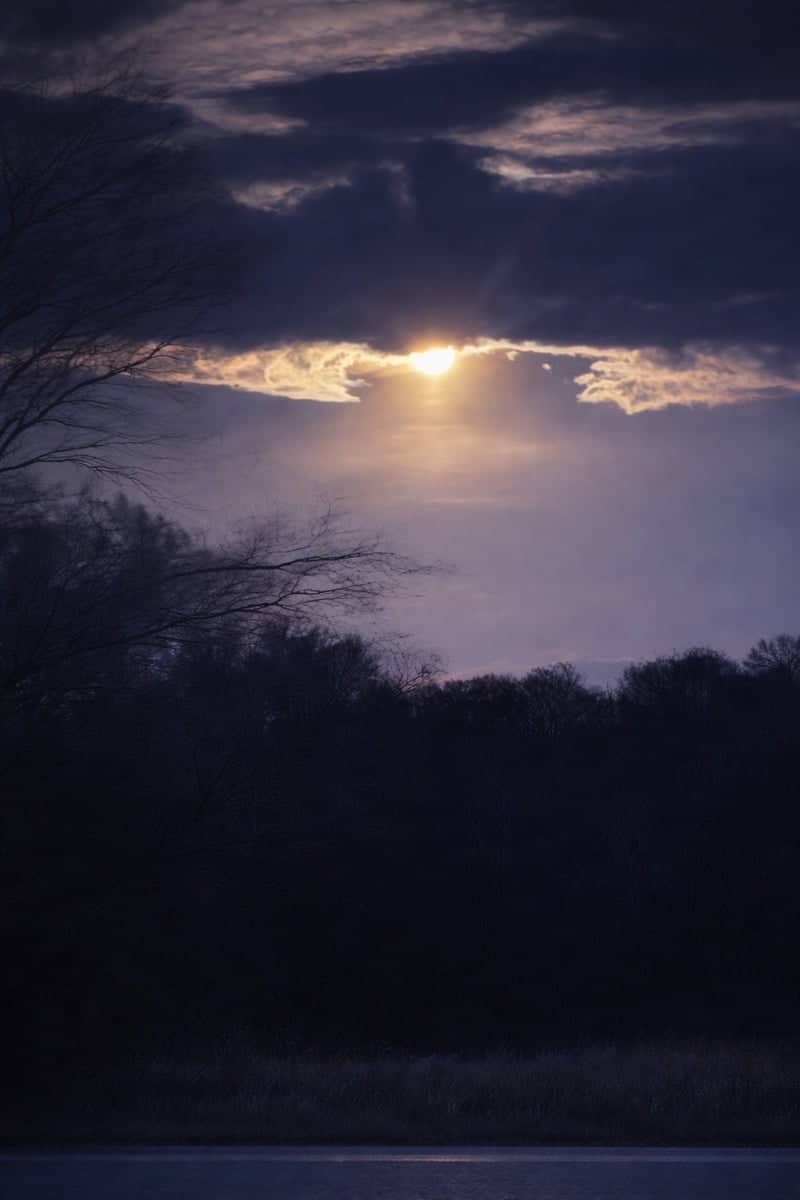 Pickwick Lake Woodland Overlook - Image 1