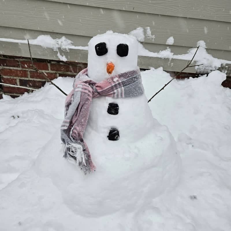 Flomaton Winter Yard - Image 1