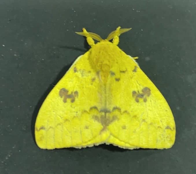 Flomaton Wildlife Macro Spot - Image 1