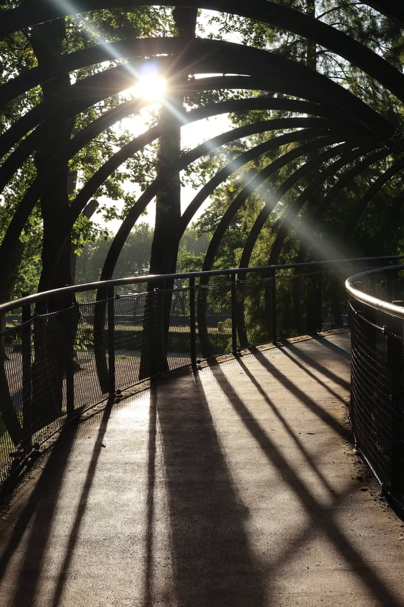 Slinky Springs to Fame Bridge - Image 1