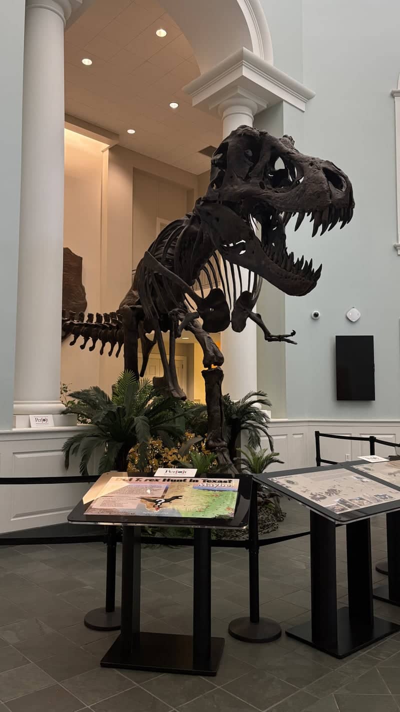 Mayborn Museum Complex - Image 1