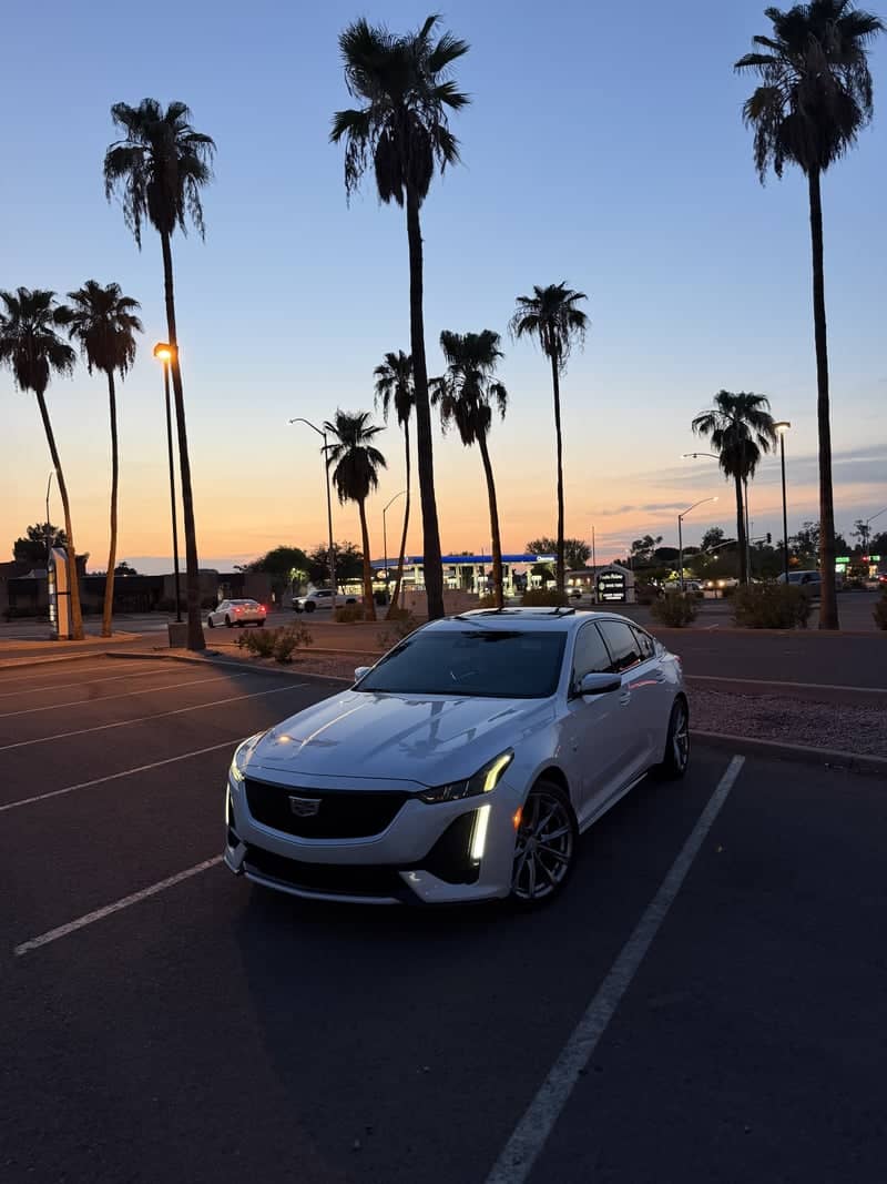 Mesa Palm Tree Sunset Spot - Image 1