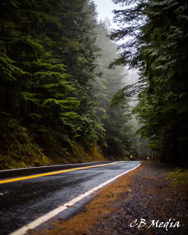 Historic Columbia River Highway Forest Road - Image 2