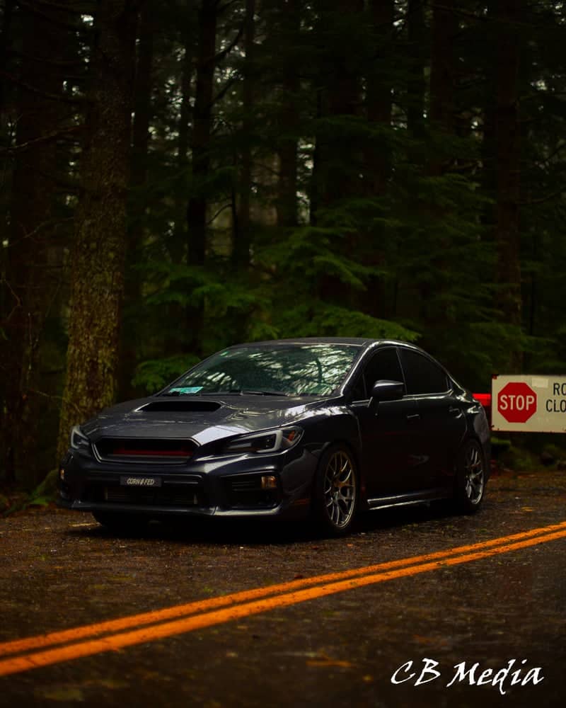 Historic Columbia River Highway Forest Road - Image 4