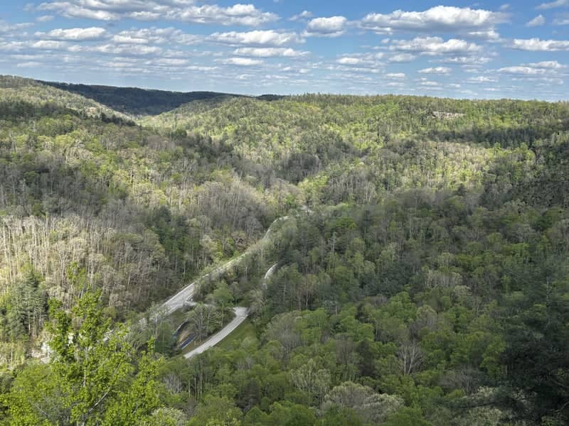 Natural Bridge State Resort Park Overlook - Image 1