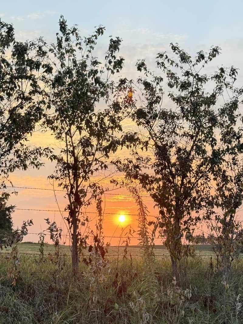 St. Joseph Farmland Sunset - Image 1
