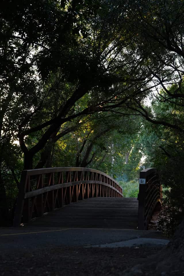 River Run Parkway Pedestrian Bridge