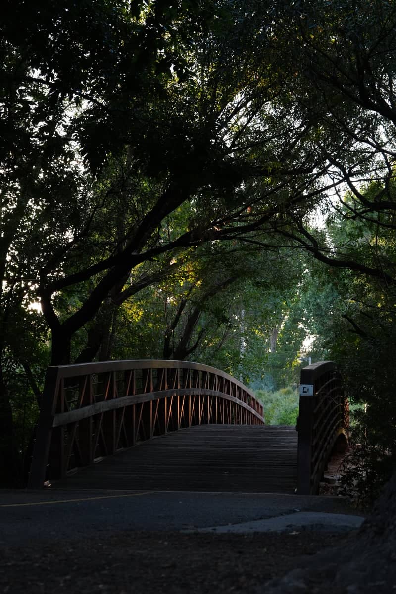 River Run Parkway Pedestrian Bridge - Image 1