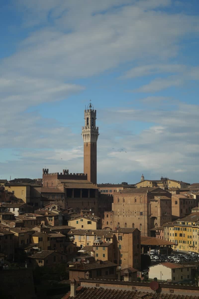 Torre del Mangia Overlook - Image 1