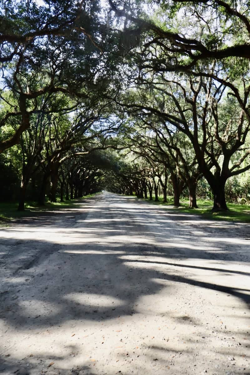 Wormsloe State Historic Site - Image 1