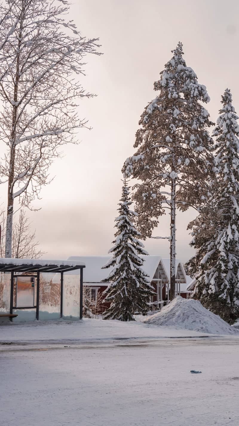 Rovaniemi Winter Streetscape - Image 1