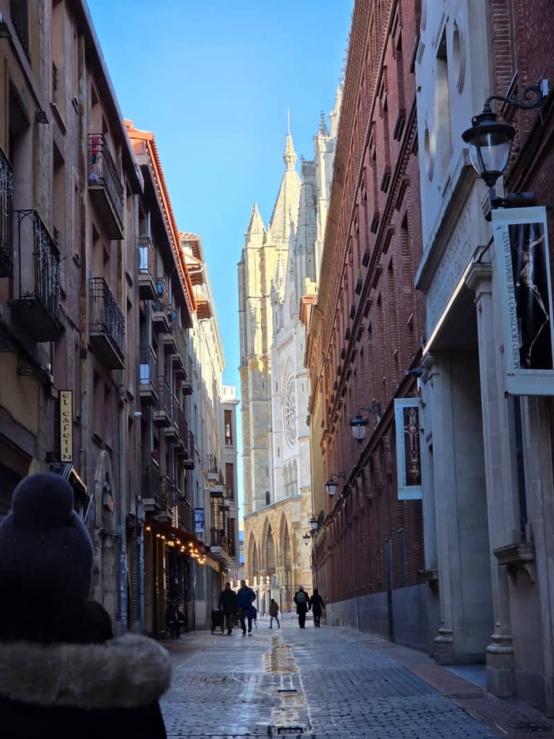 León Cathedral from the Old Town - Image 1
