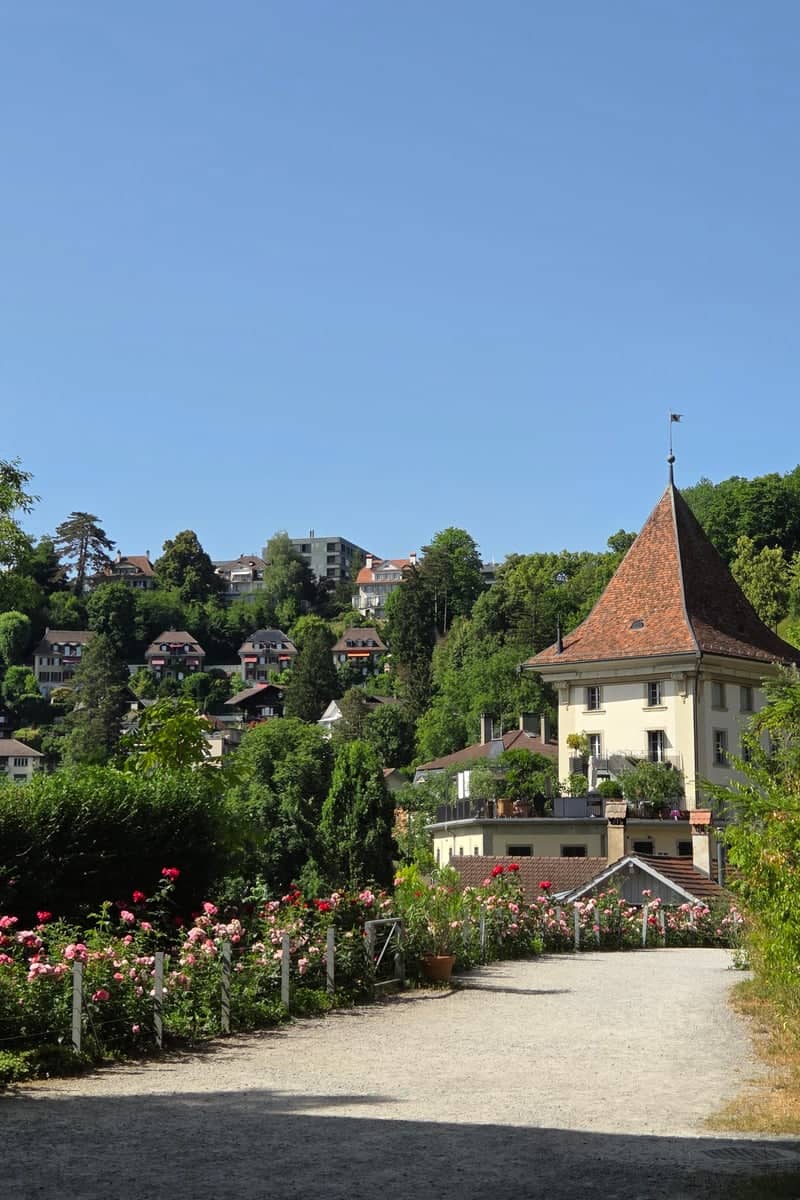 Schwellenmätteli - Image 1