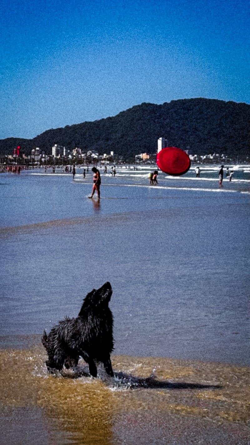Enseada Beach