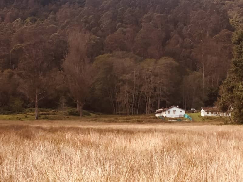 Berijam Forest Meadow - Image 1