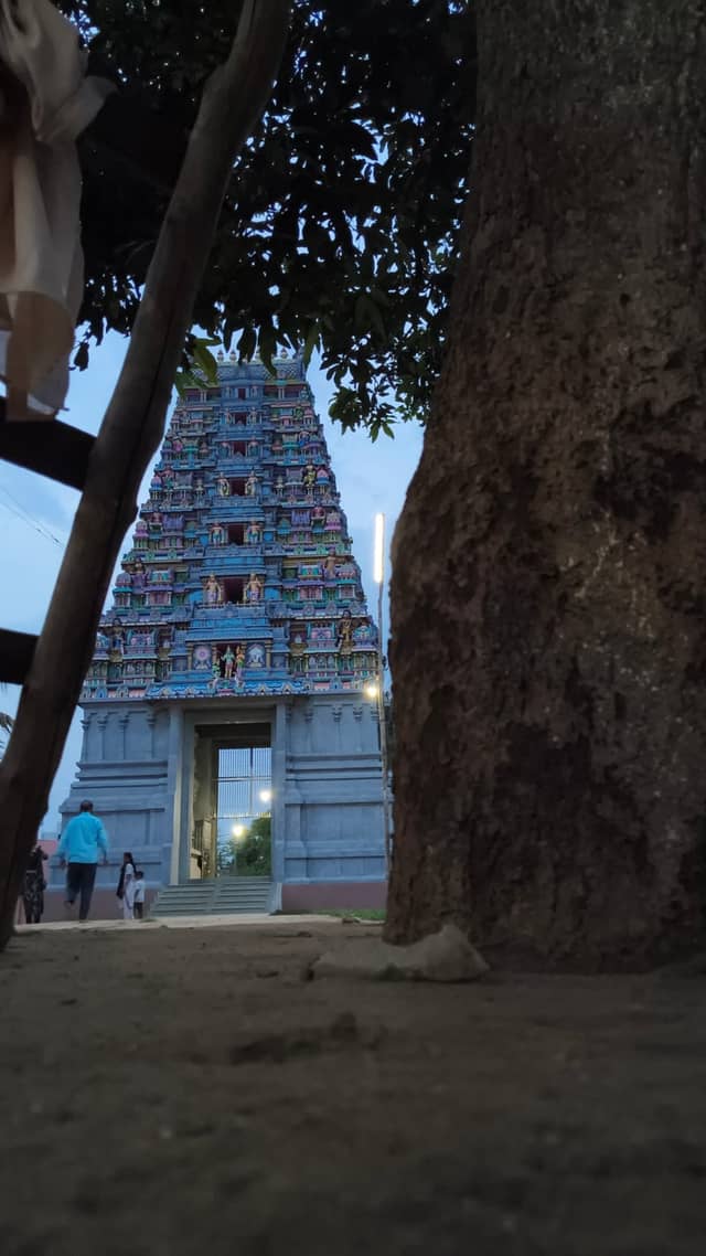 Dravidian Style Temple, Hoshangabad - Image 1