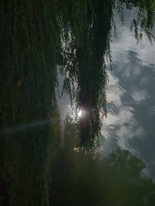 Insel Neu-Ulm - Image 1