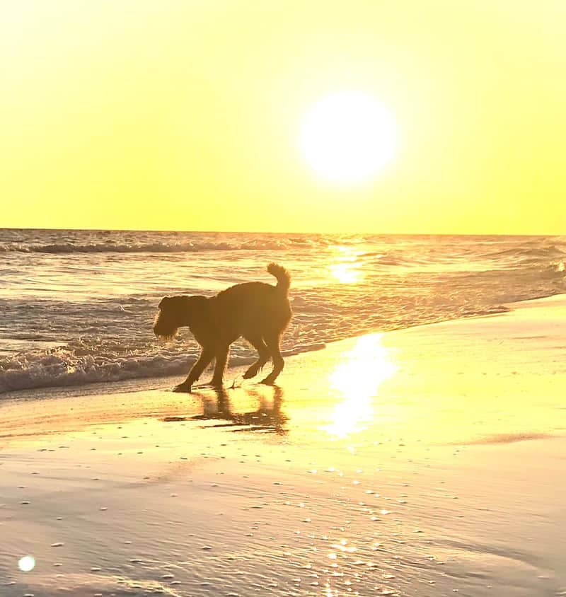Seaside Beach - Image 1