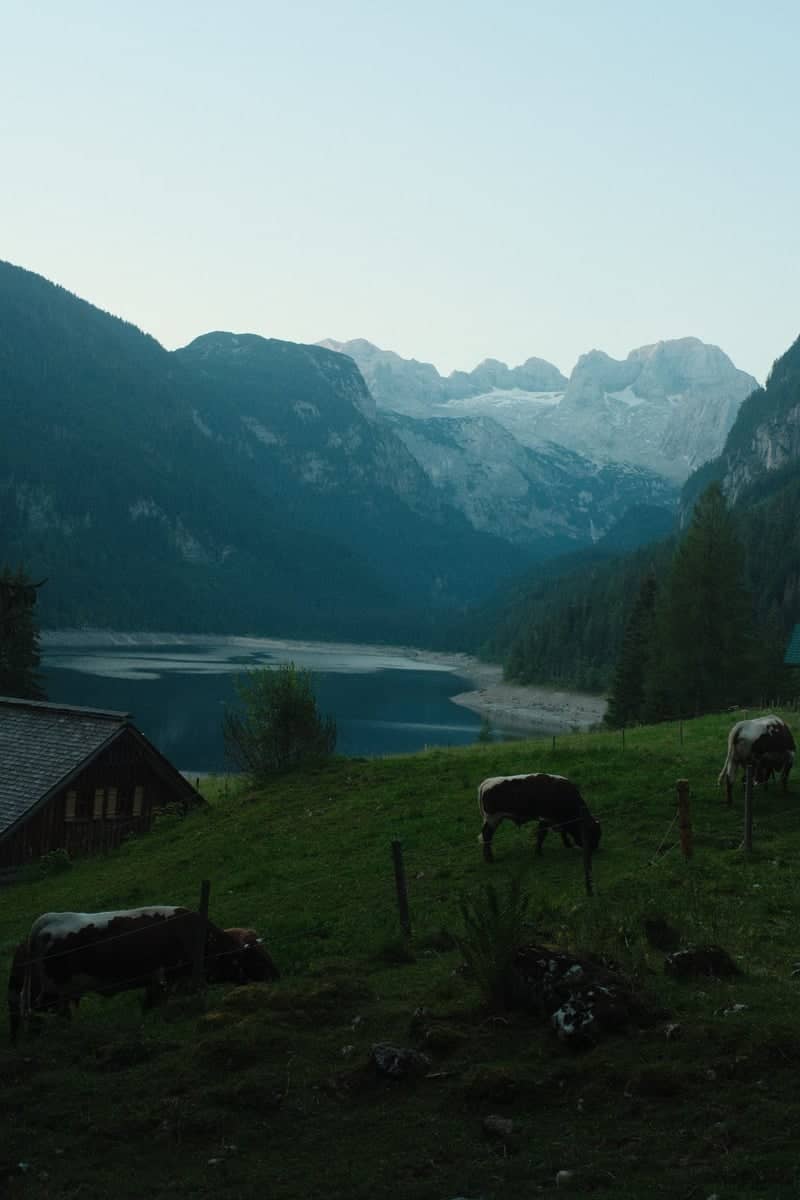 Lake Gosau (Vorderer Gosausee) - Image 1