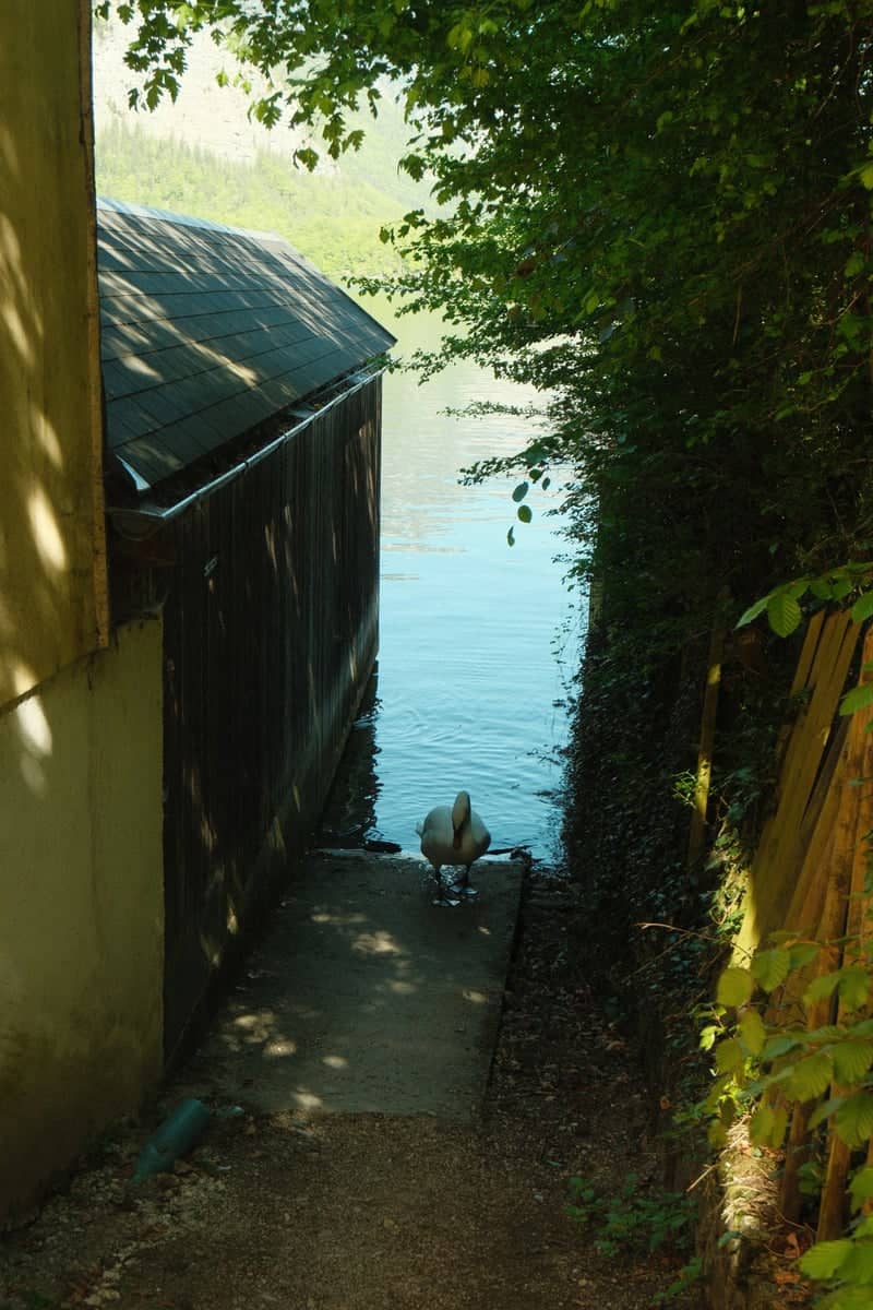 Hallstatt Lakefront Boathouse - Image 1